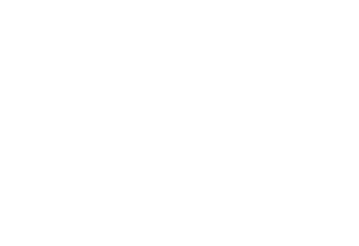 CEO Signature